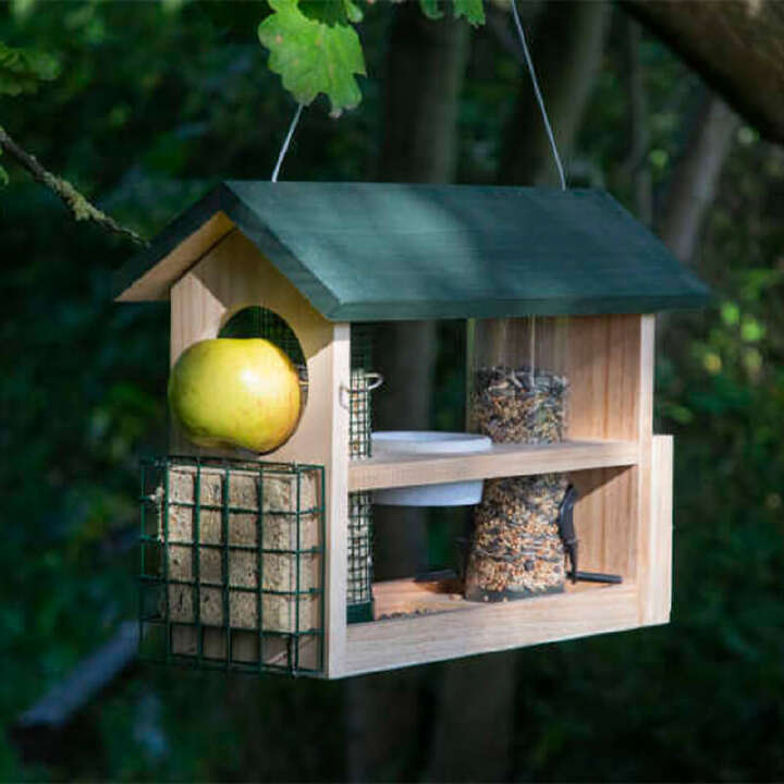 futterspende vogel 800x800